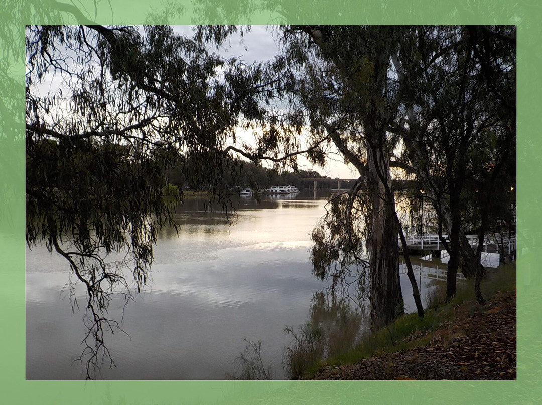 Mildura Paddle Steamers-米尔杜拉必去景点