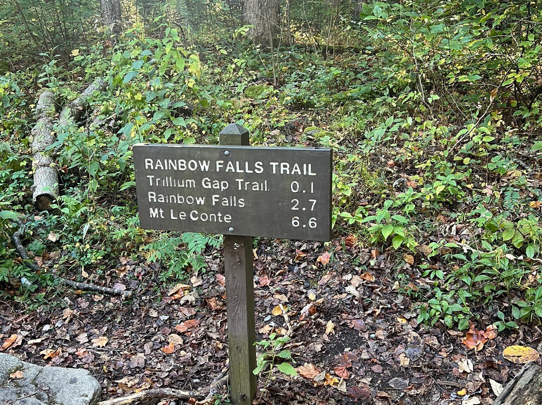 Rainbow Falls Trail-大雾山国家公园必去景点