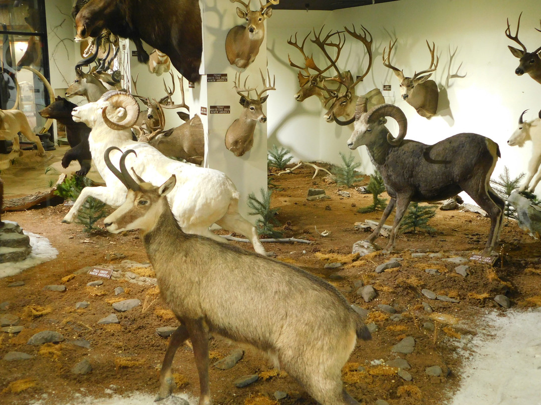 Buckaroo Hall of Fame