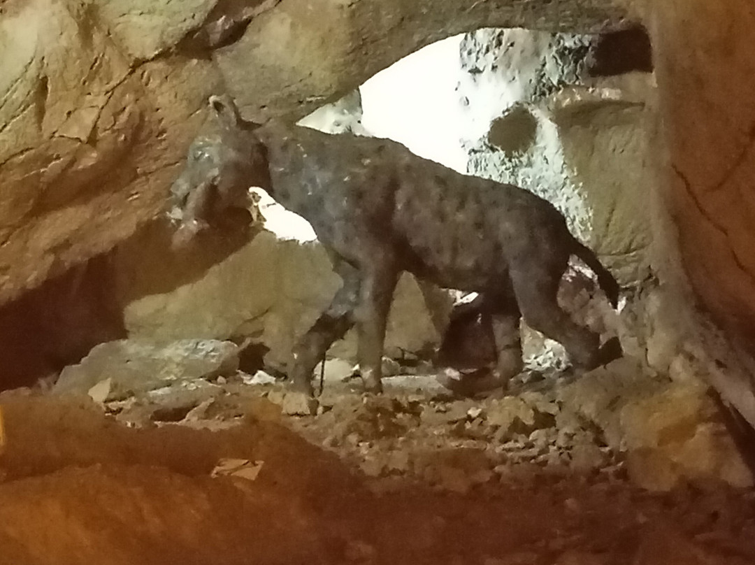 Cave of Agios Georgios-Kilkis必去景点