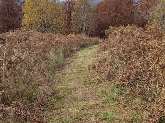 Entopia Project-塞萨洛尼基必去景点