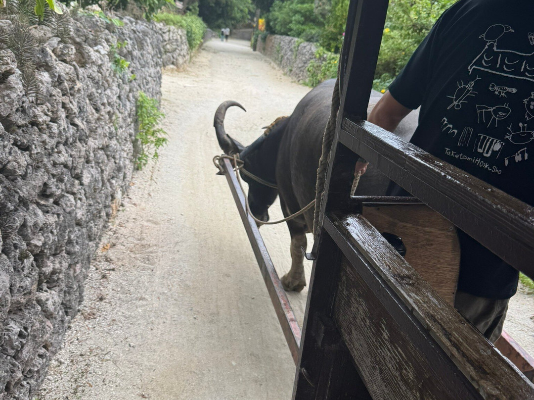 Water Buffalo Carriage Nitta Kanko-竹富町竹富岛必去景点