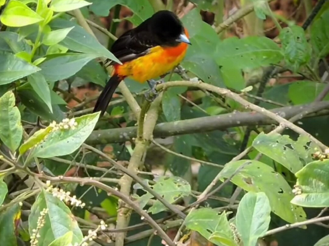 Casa De Los Fundadores主图