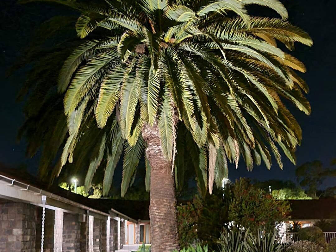 朱莉安娜舒适客栈主图