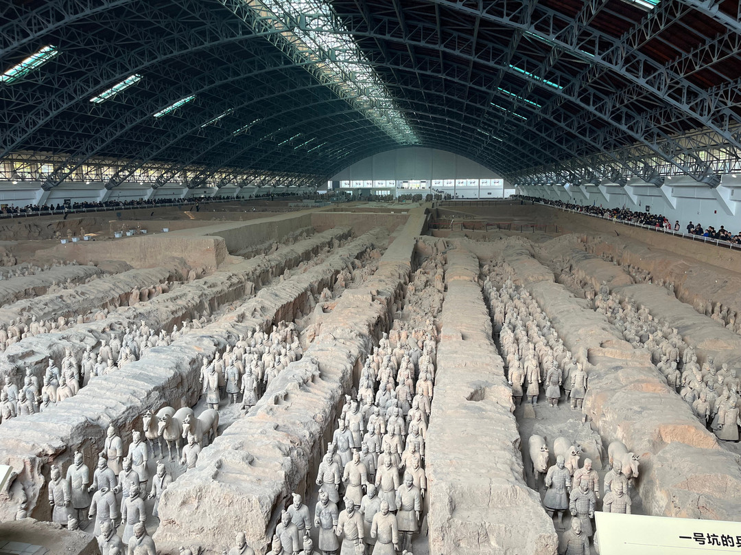 Catherine Lu Tours Xi'an-西安市必去景点