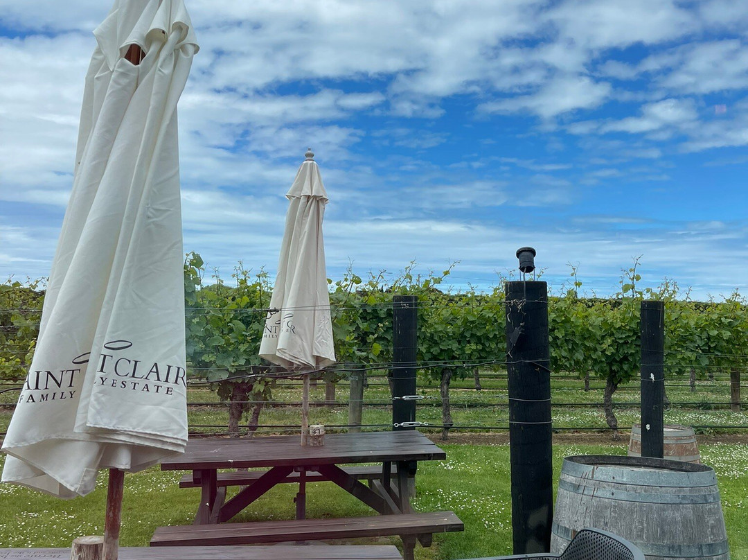 Bubbly Grape Wine Tours-布伦海姆必去景点