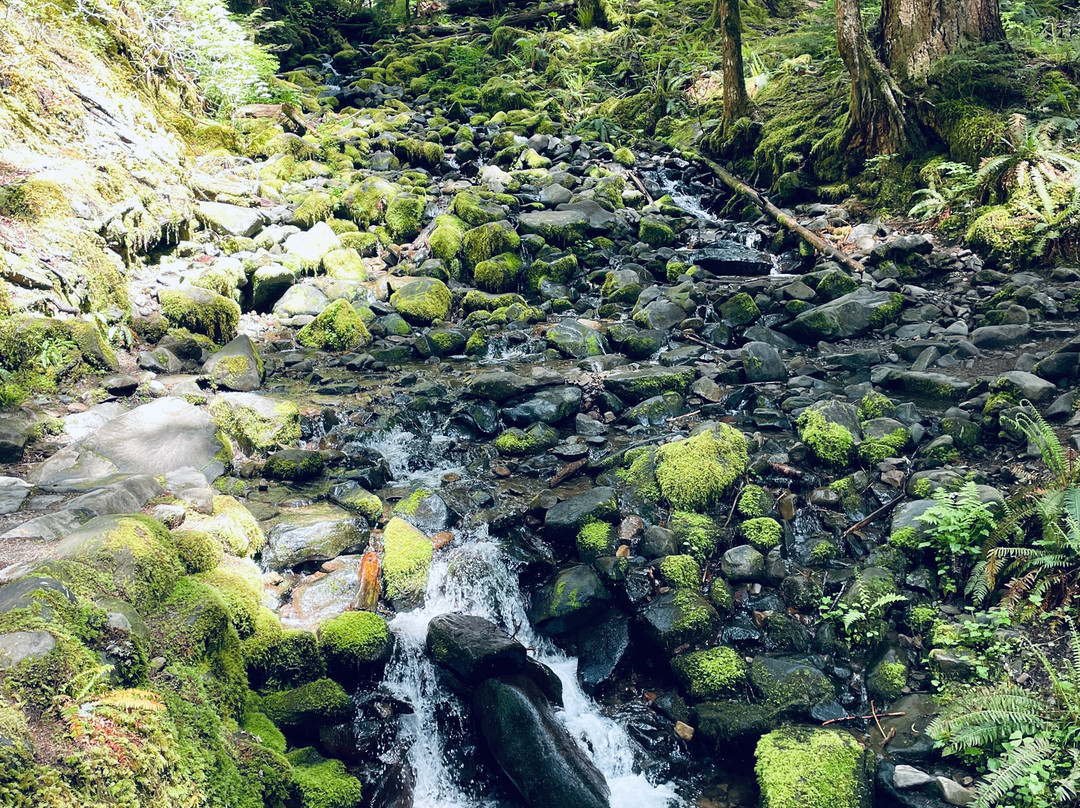 Sol Duc Falls景点图片
