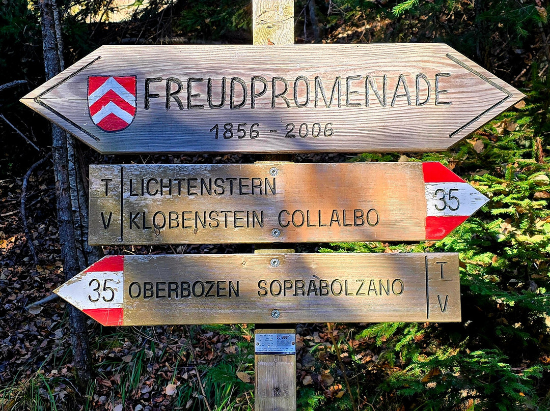 Freudpromenade - Passeggiata Freud景点图片