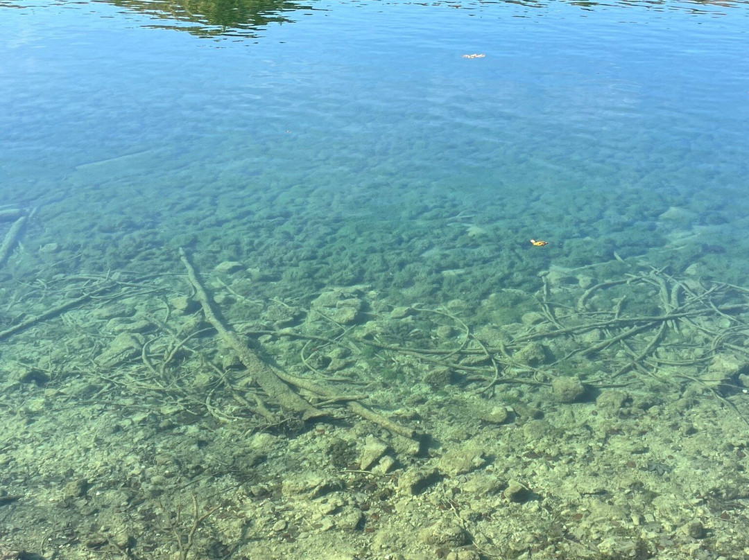 Schwansee-施万高必去景点