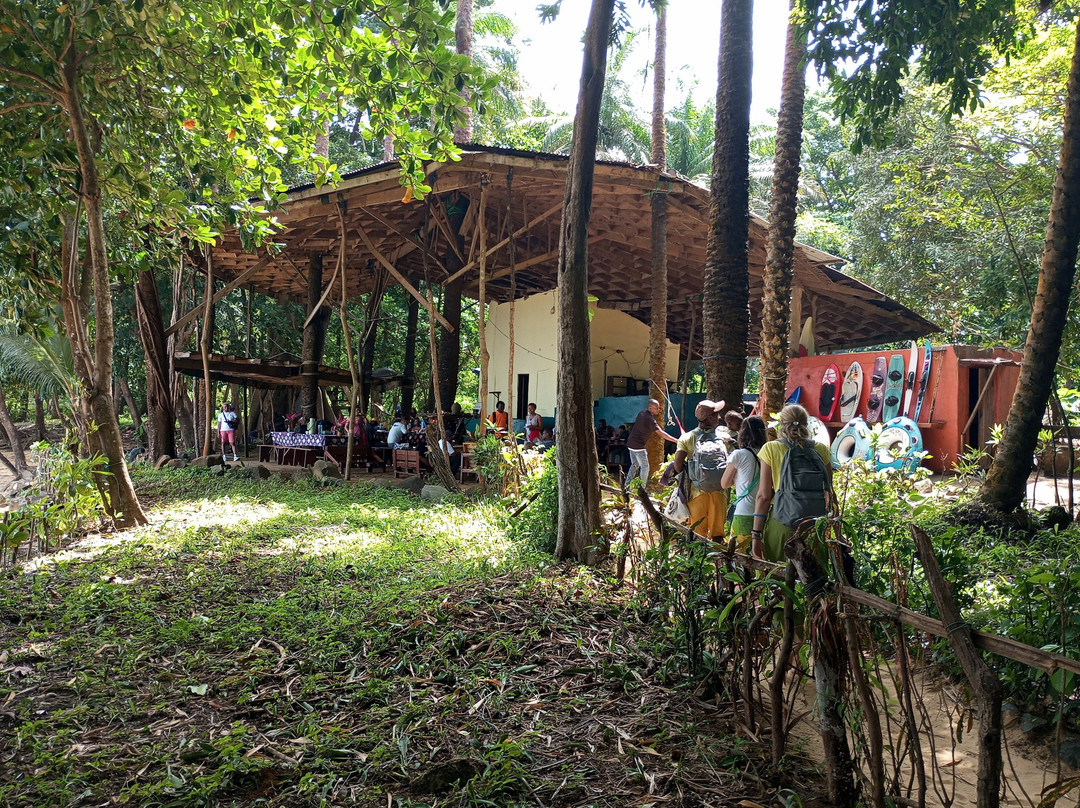 Daltons Banana Guest House主图