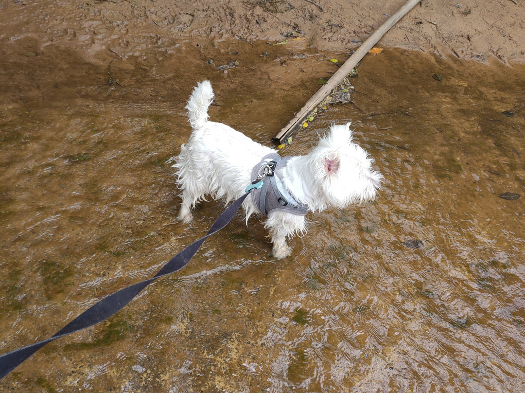 Fazenda Nossa Senhora da Conceicao-容迪亚伊必去景点