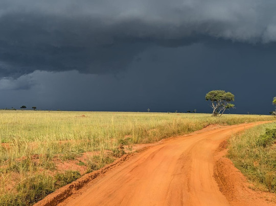 Explore Wildlife Africa-吉佳利必去景点