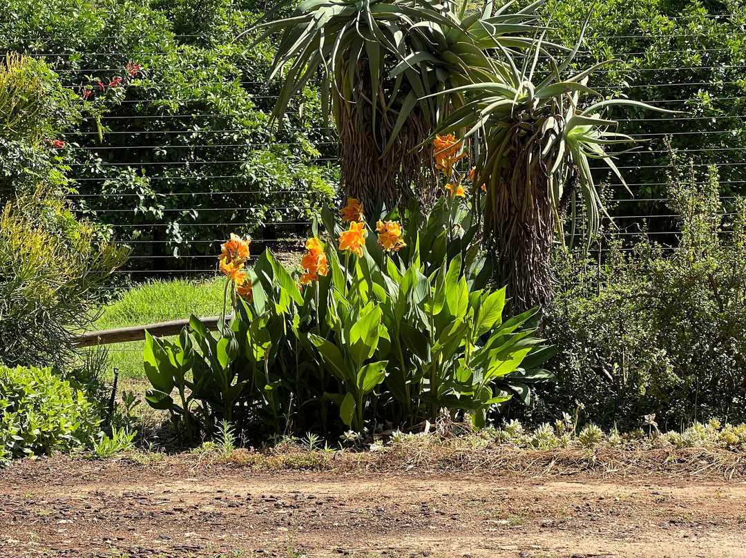 Lupus Den Country House主图