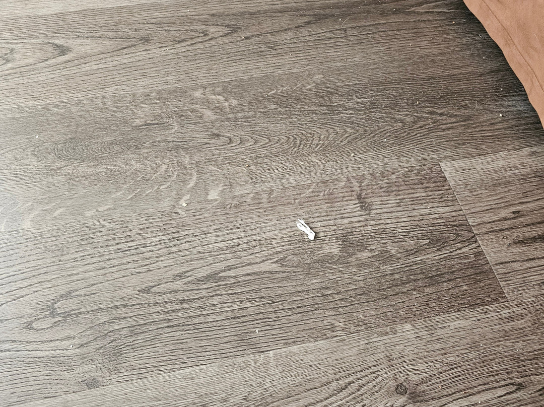 Super 8 by Wyndham Pekin / Peoria Area主图