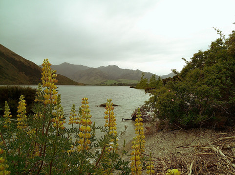 Wanaka Wine Tours-瓦纳卡必去景点