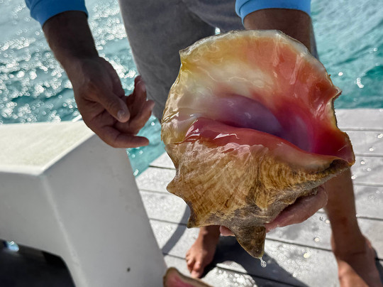Double Trouble Charters-西湾必去景点