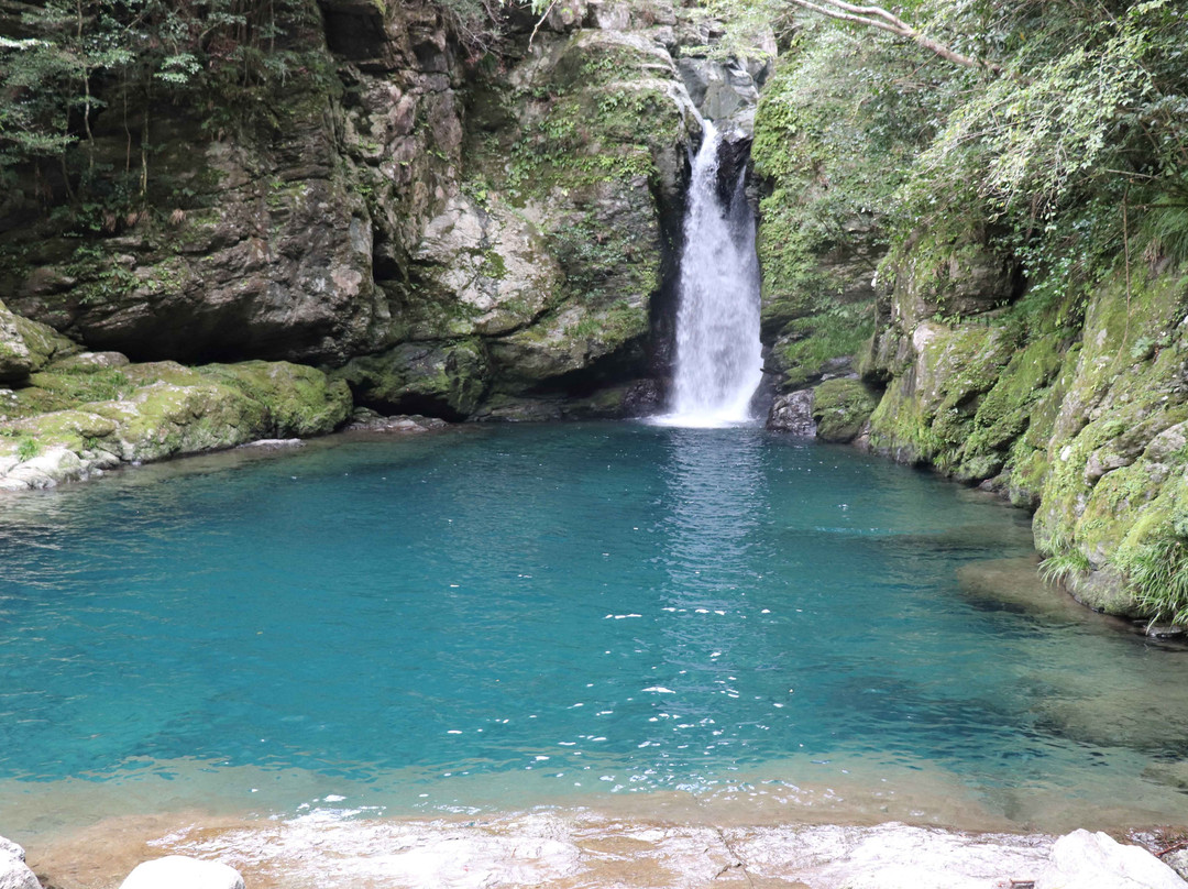 Nikobuchi-伊野町必去景点