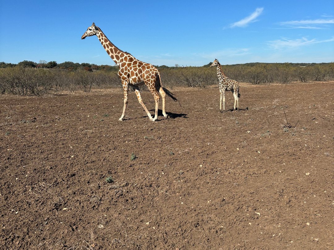 Y.O. Ranch Headquarters-Mountain Home必去景点