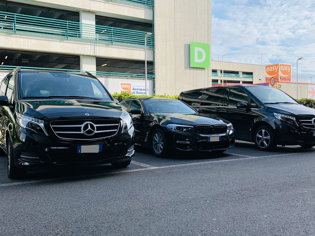 Hamburg Private Transfers & Limo Services: Airport, Cruise Port, Hotel Pickups景点图片