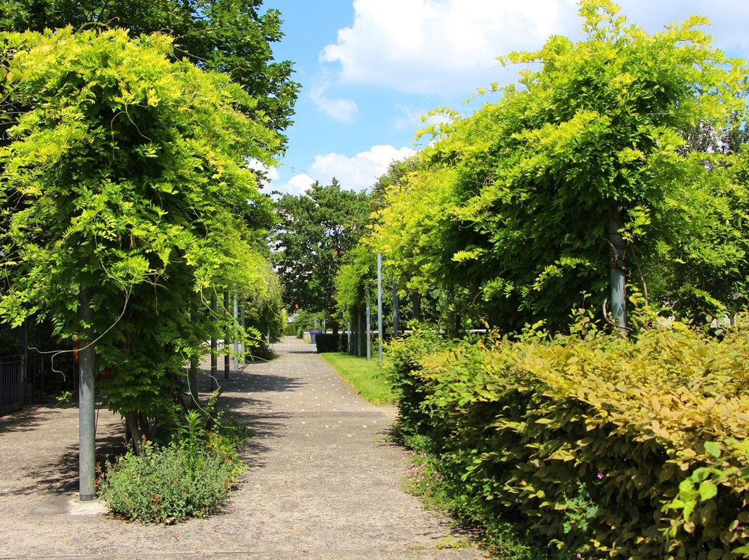 Le Jardin du Moulin de la Pointe景点图片