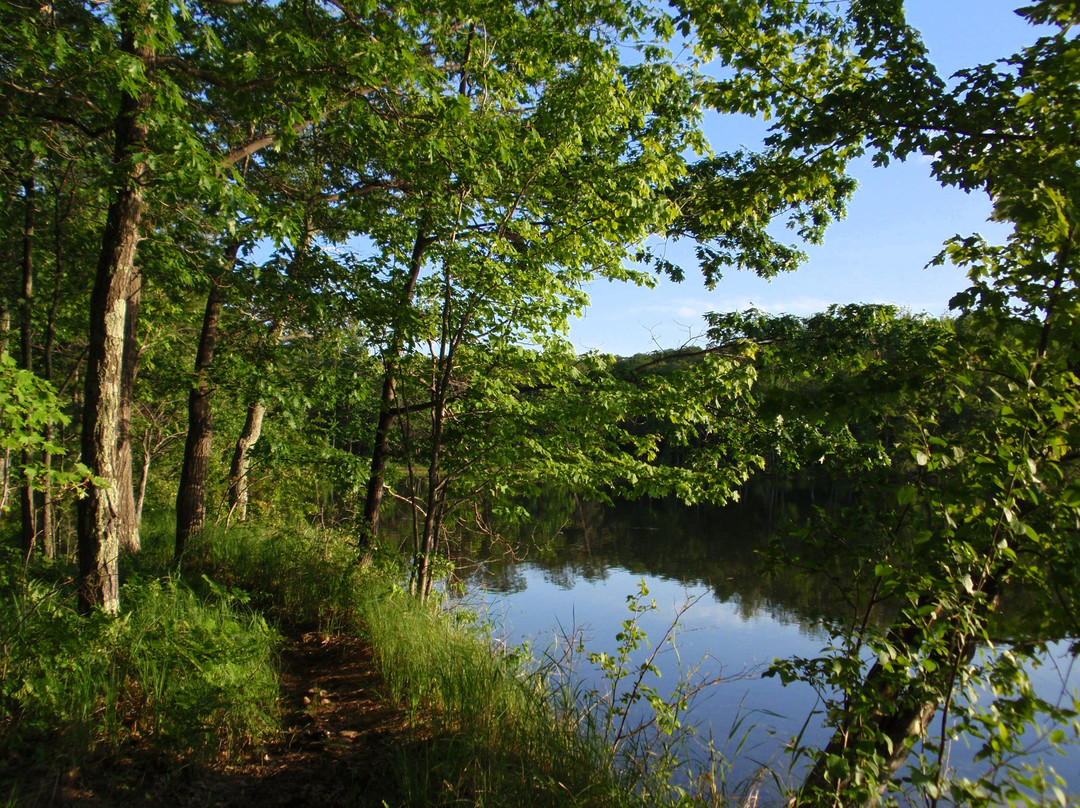 Hunt Hill Nature Center景点图片