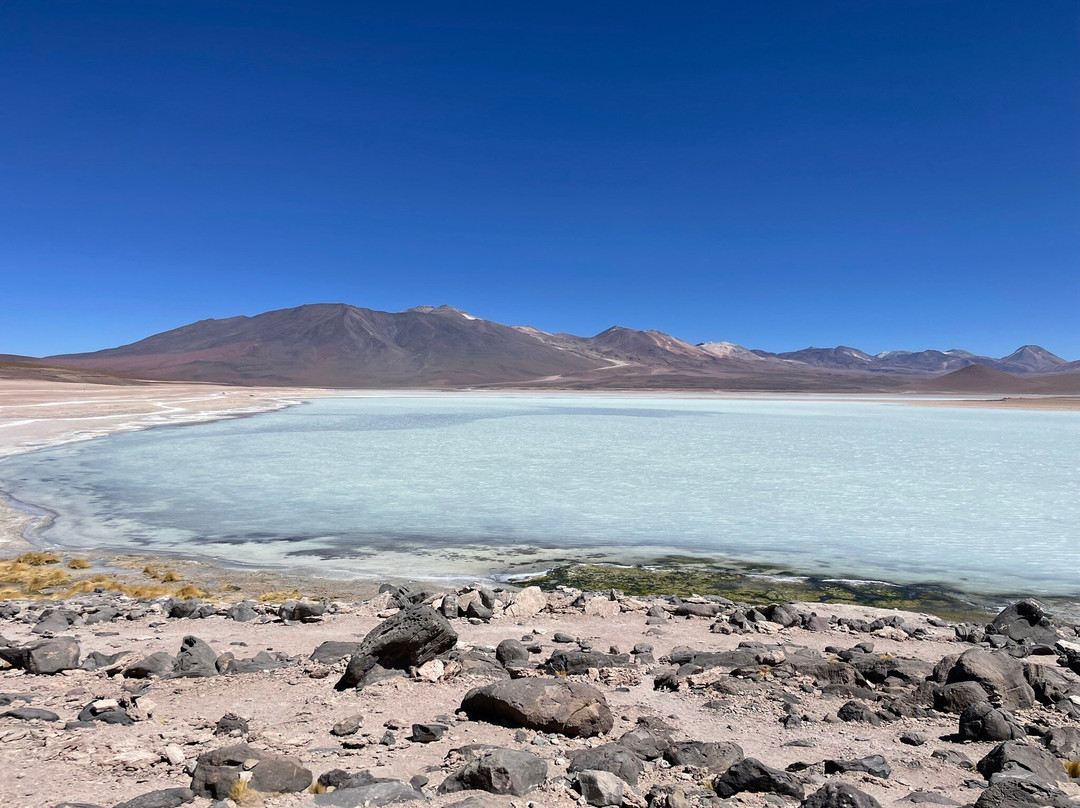 Laguna Blanca-乌尤尼必去景点