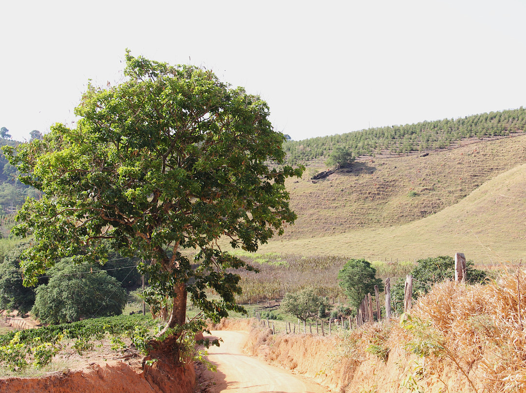 Cachoeira do Tabuao-Ouro Fino必去景点