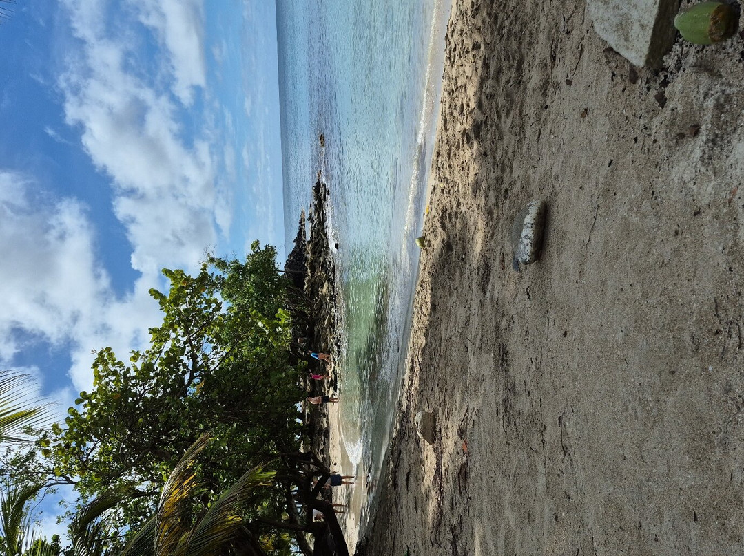 Anse Figuier-Riviere-Pilote必去景点