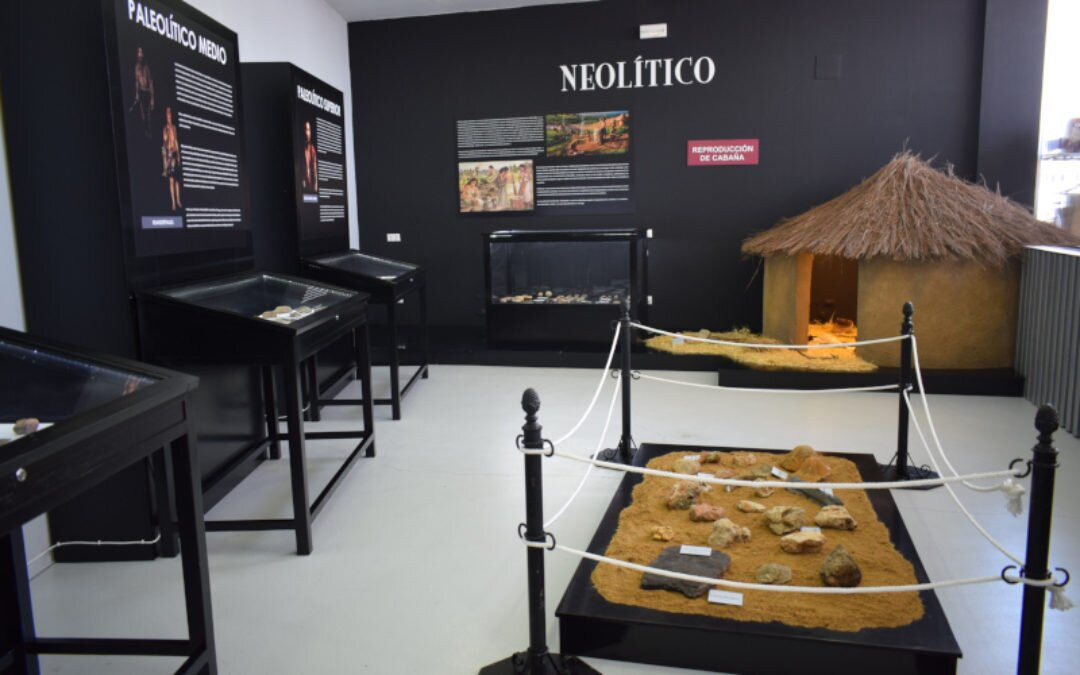 Exposición Arqueológica Municipal景点图片