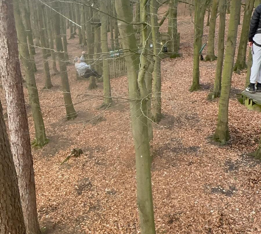 Go Ape Rivington-博尔顿必去景点