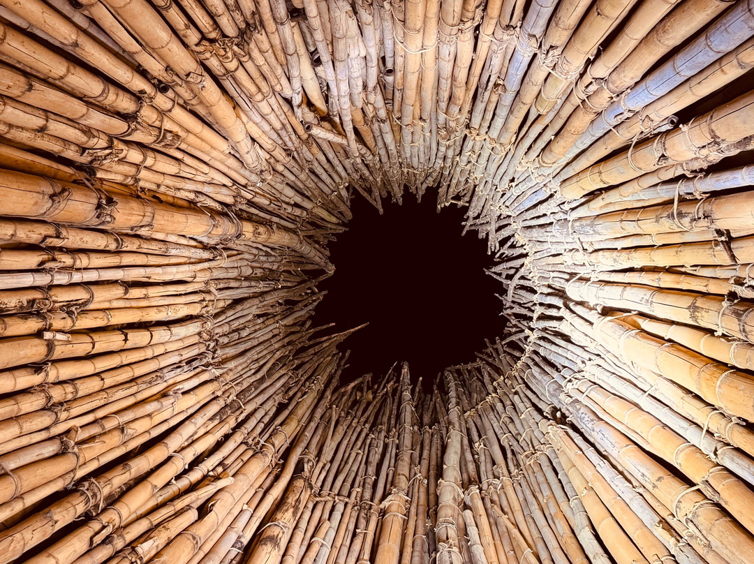 Woodford Folk Festival景点图片