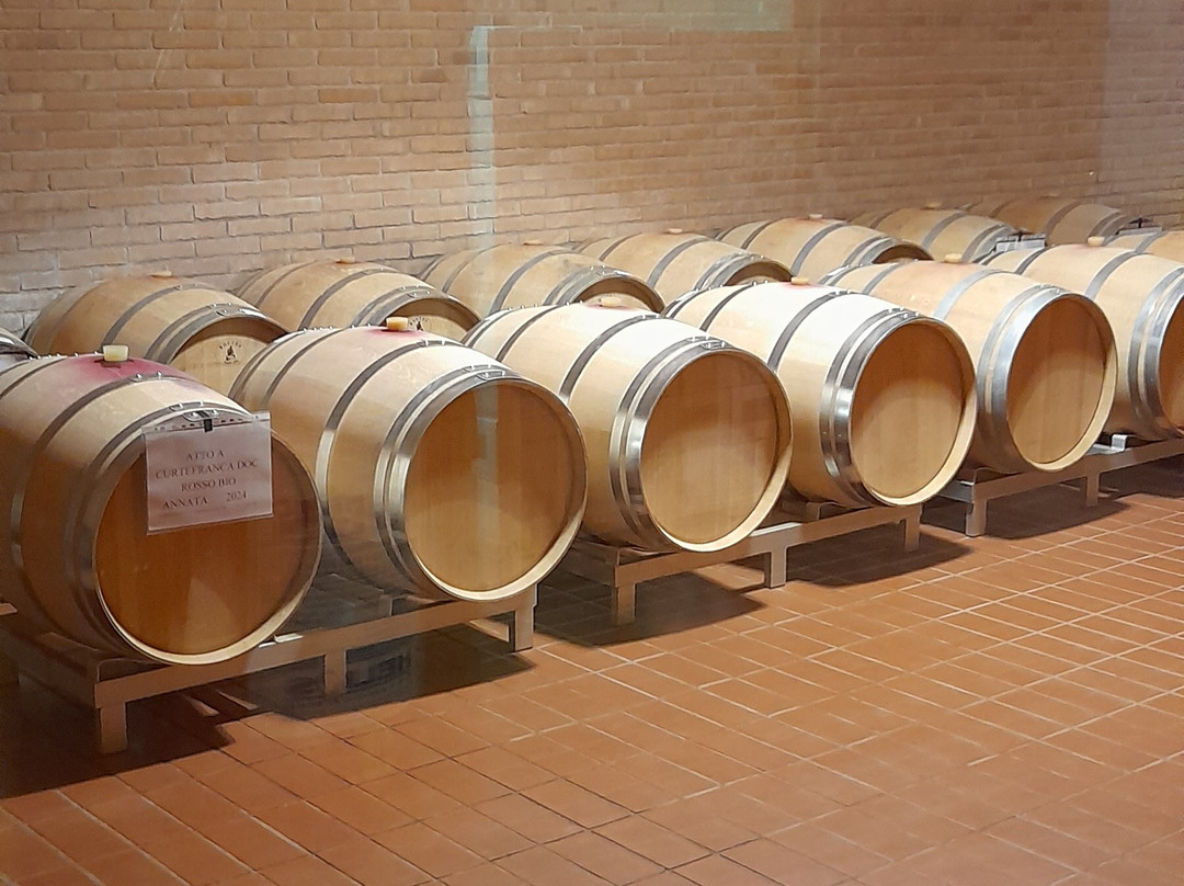 Franciacorta Tour景点图片