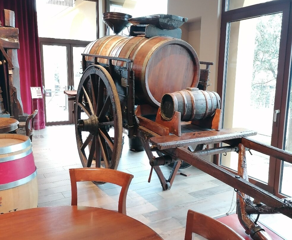 Cantina Zeni e Museo del Vino景点图片