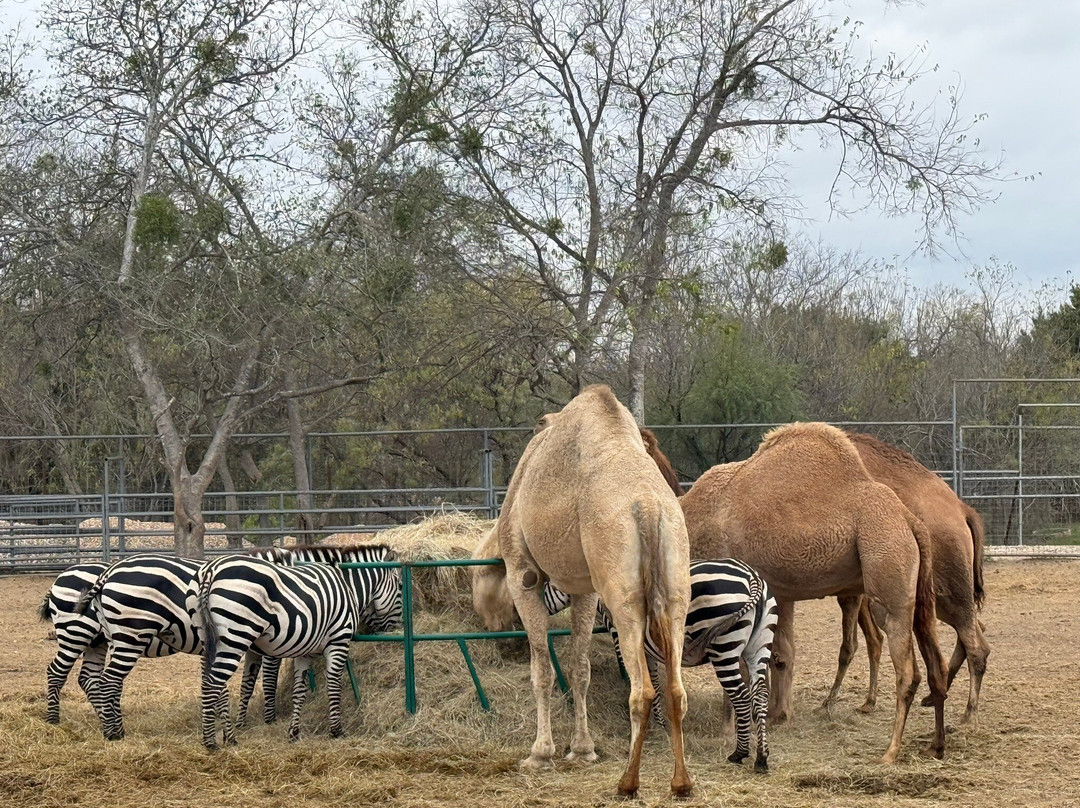 Animal World and Snake Farm Zoo-新布朗费尔斯必去景点
