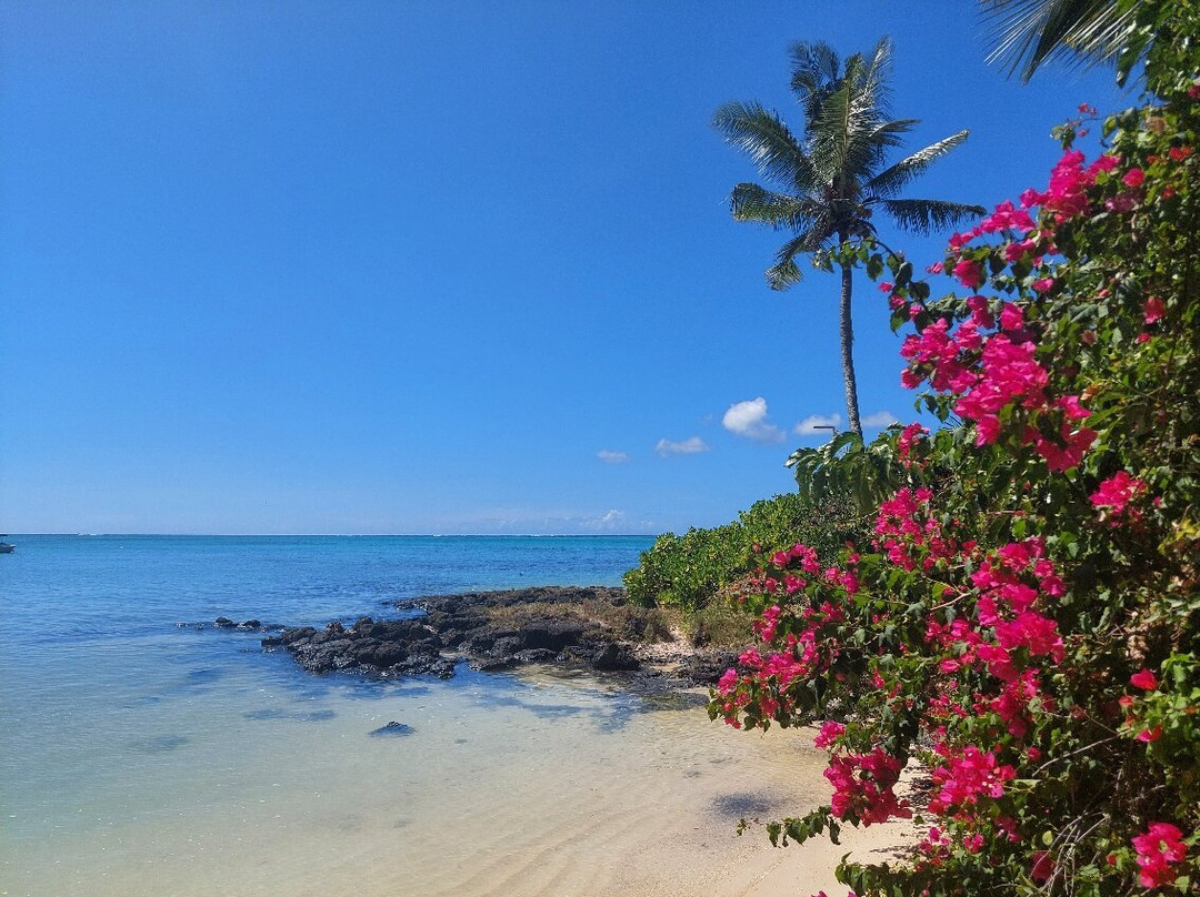 Bain Boeuf Public Beach景点图片