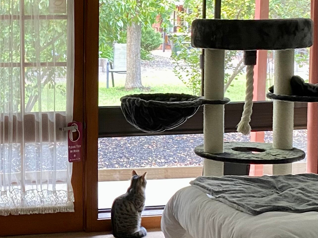 River Country Inn主图