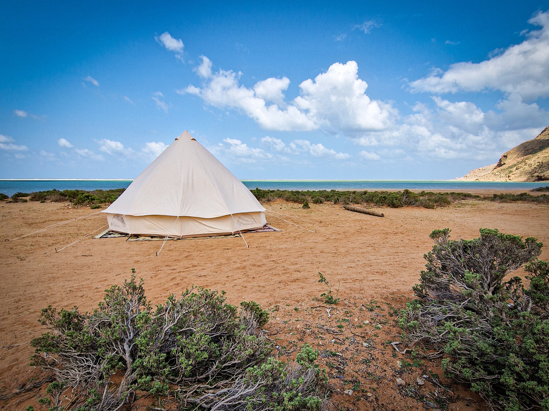 Traveling  Socotra-索科特拉岛必去景点