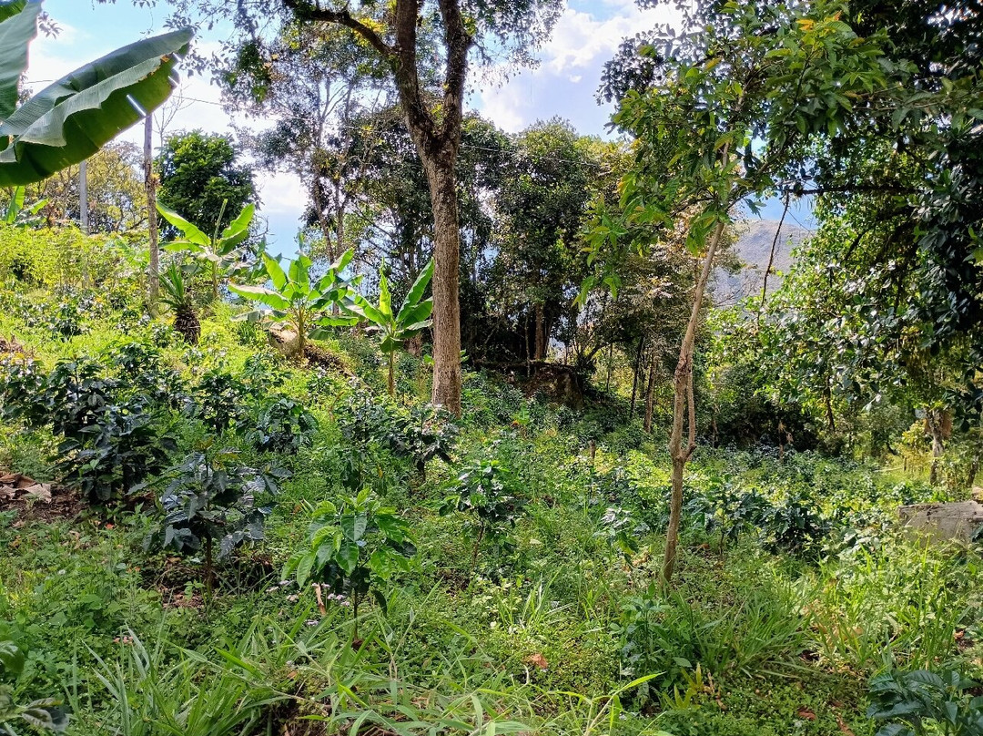 Laguna Tierra Blanca