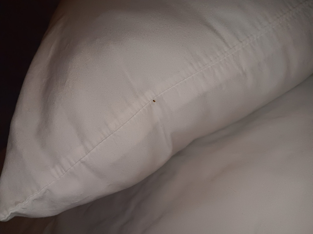 Baymont By Wyndham Brooklyn Center主图