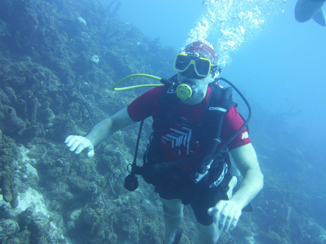 Dive Wederfoort-威廉斯塔德必去景点