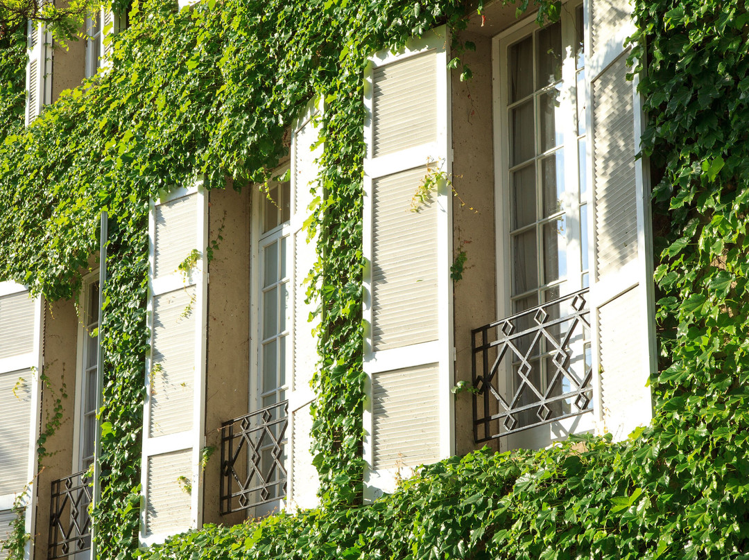 Le Reve Boutique Hotel主图