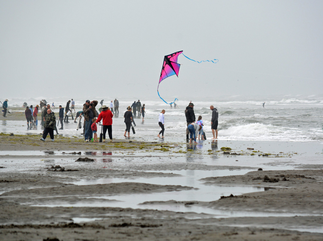 Coastal Inn and Suites主图