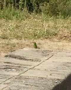 Lothal-Dholka必去景点