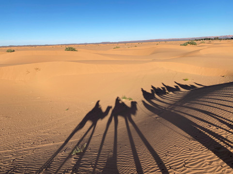 All Morocco Tours-非斯必去景点