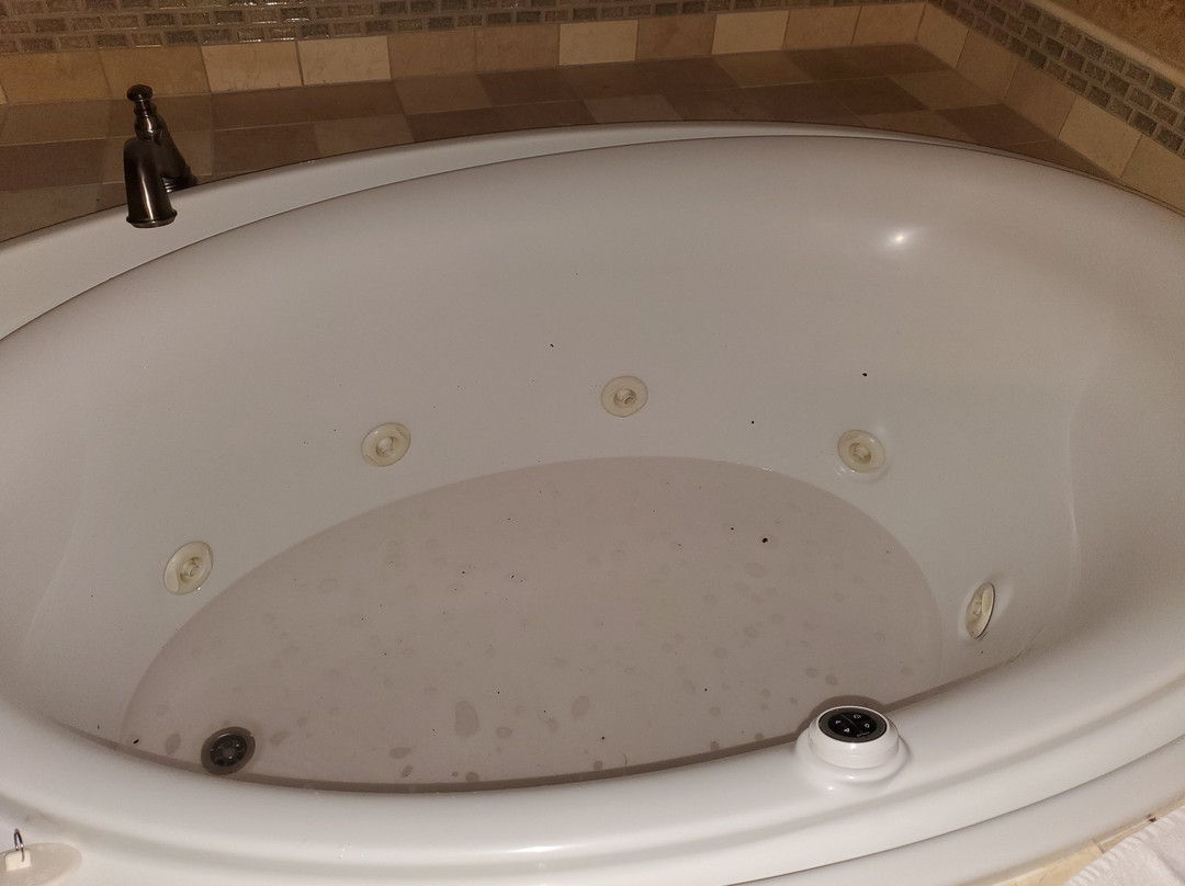 The Bard's Inn, BW Signature Collection主图