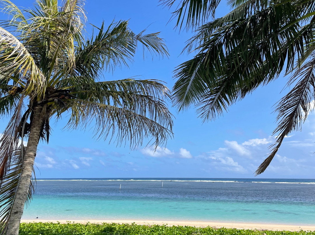 Janes Beach Fales主图