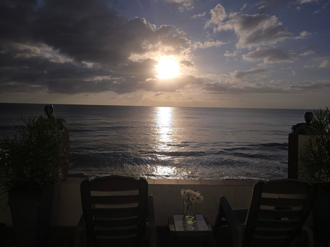 Coconut Palms Inn主图