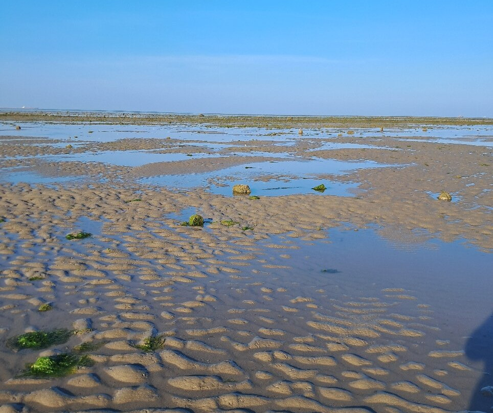 Narara Marine National Park景点图片