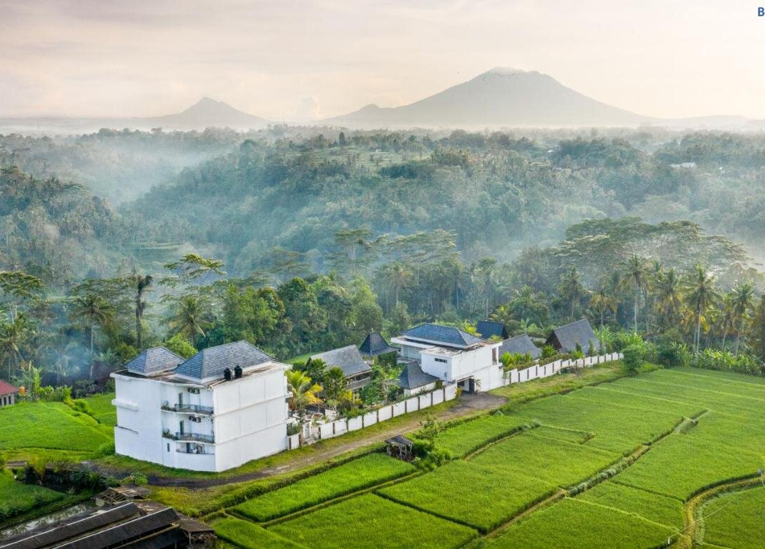 Abian Taksu Suite & Villas