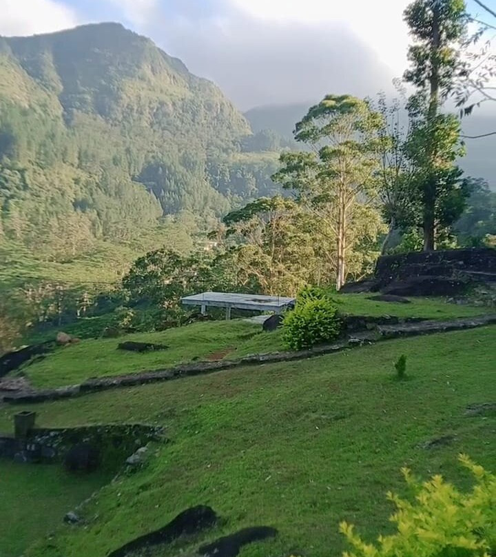 Knuckles Mansala主图